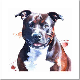 Staffordshire Bull Terrier Watercolor - Dog Lovers Posters and Art